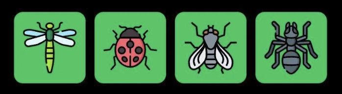 FLIES Daily Combo 30 June 2025